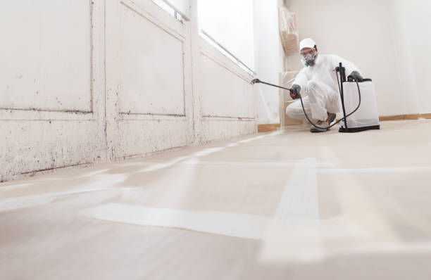 24/7 Emergency Mold Removal experts in South Boston, VA